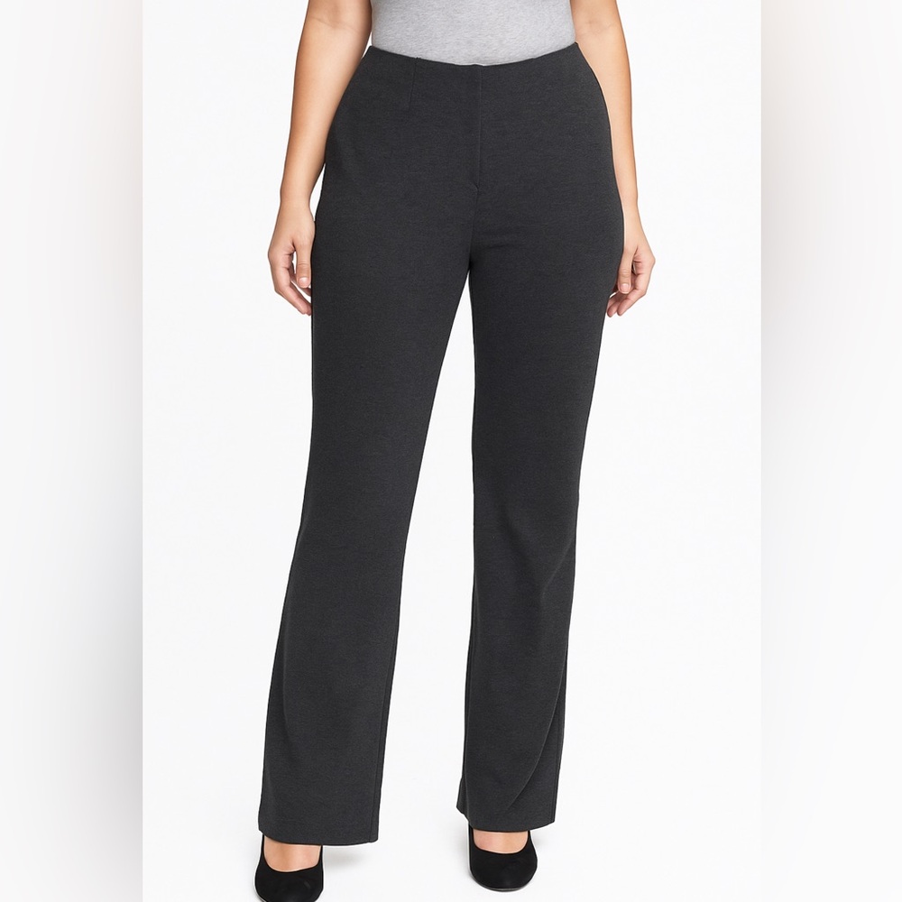 Coldwater Creek | Classic Fit Pull-on Pants charcoal Gray Sz 16